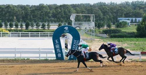 国产无马,引领绿色出行新潮流